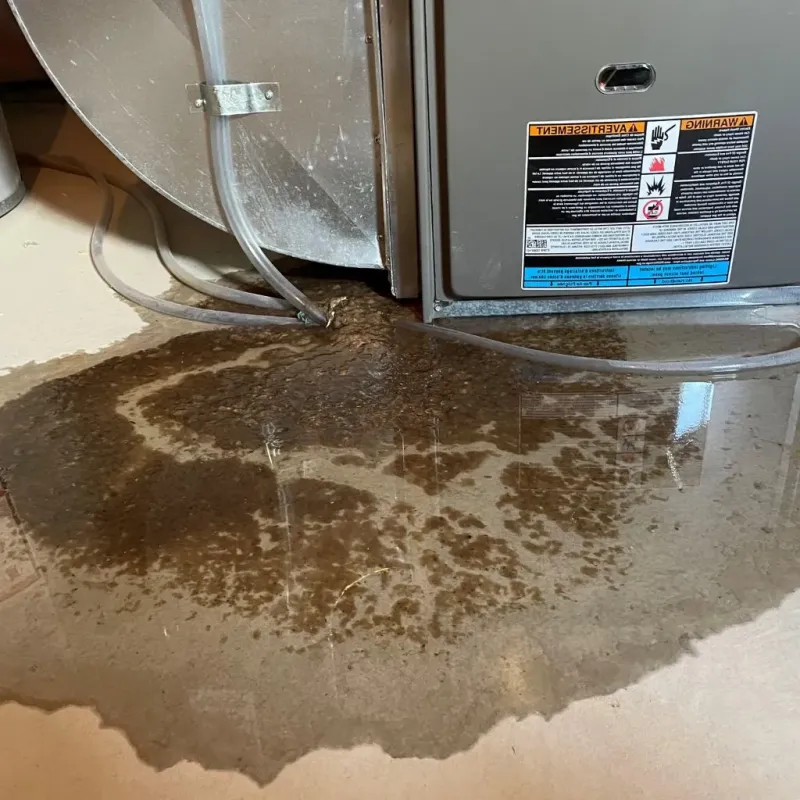 Pipe Burst and Leak Restoration in Cold Spring, NY